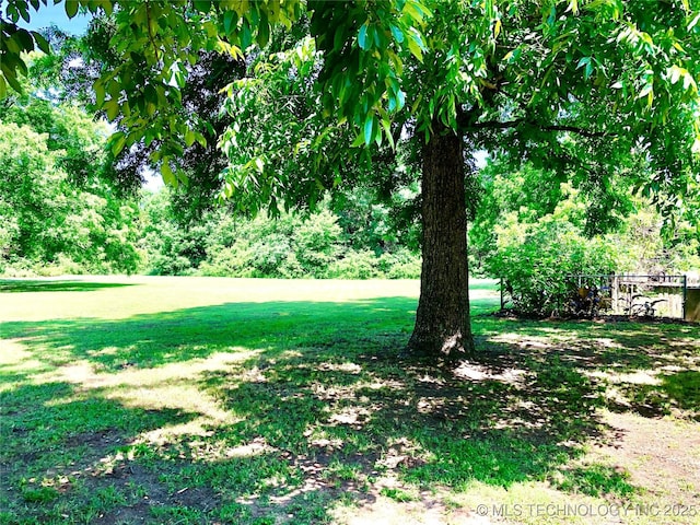 3814 E Dripping Springs Rd, Cushing, OK 74023 - view of green lawn