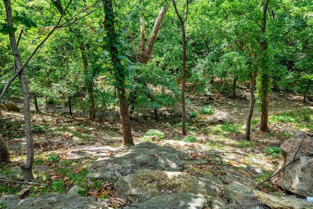 10144 N Dover Pl, Owasso, OK 74055 - view of wooded area