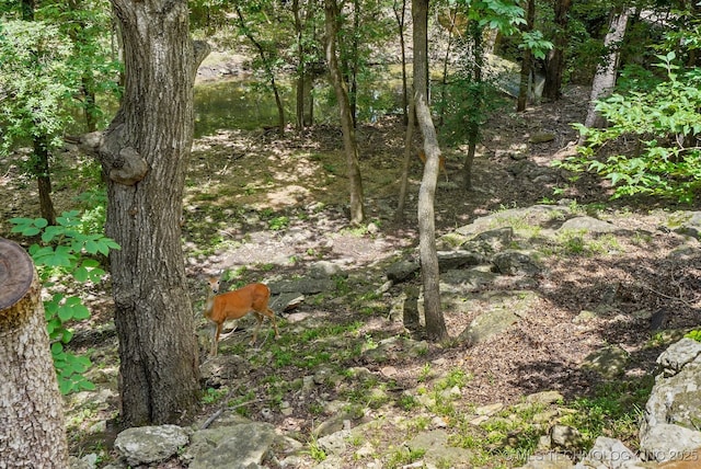 10144 N Dover Pl, Owasso, OK 74055 - view of local wilderness