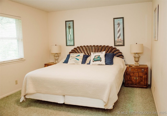 802 W Sand Pt, Mead, OK 73449 - bedroom featuring carpet floors, multiple windows, and baseboards