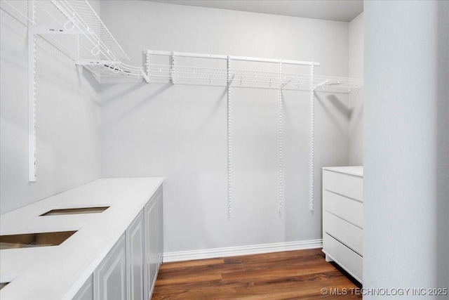 153 Founders Ln, Durant, OK 74701 - walk in closet with dark wood-style floors