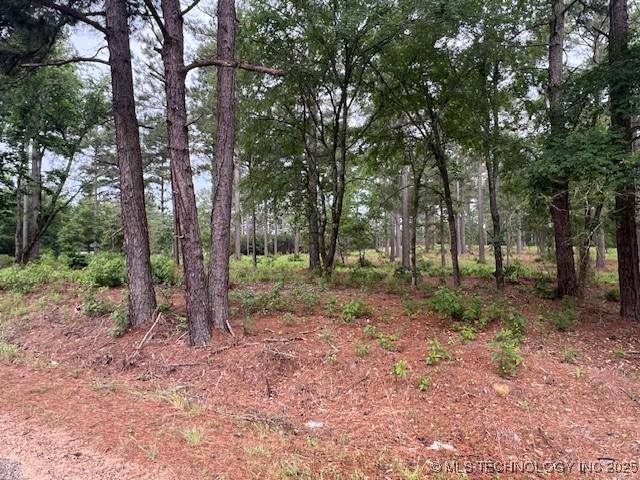 2 N 4140th Rd, Antlers, OK 74523