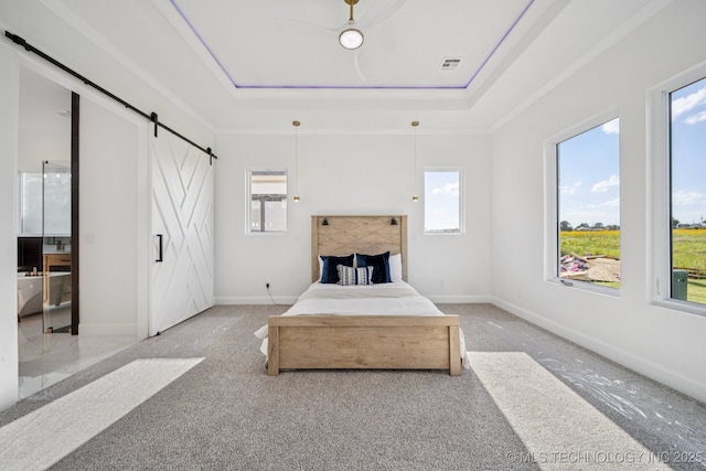 2357 E 134th Cir, Bixby, OK 74008 - carpeted bedroom featuring a barn door, multiple windows, and a raised ceiling