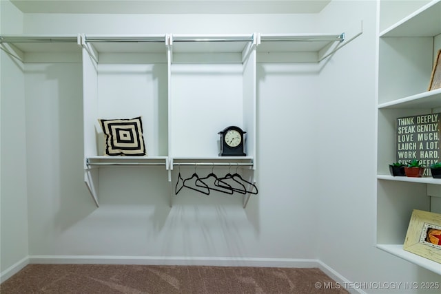11022 S 276th E Ave, Coweta, OK 74429 - spacious closet with carpet floors