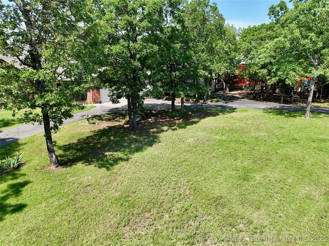 46 Acorn St, Eufaula, OK 74432 - view of green lawn