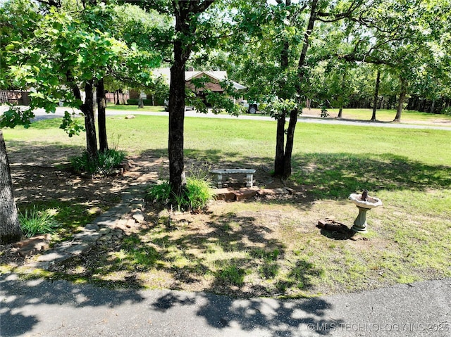 46 Acorn St, Eufaula, OK 74432 - view of green lawn