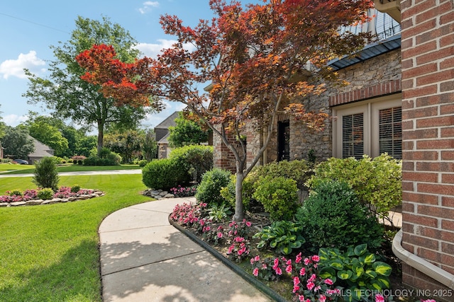 8906 E 110th St, Tulsa, OK 74133 - view of green lawn