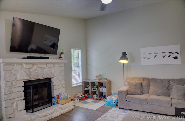 13866 S Nyssa Pl, Glenpool, OK 74033 - living room featuring wood finished floors and a fireplace