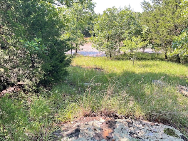 116800 S 4300th Rd, Porum, OK 74455 - view of yard