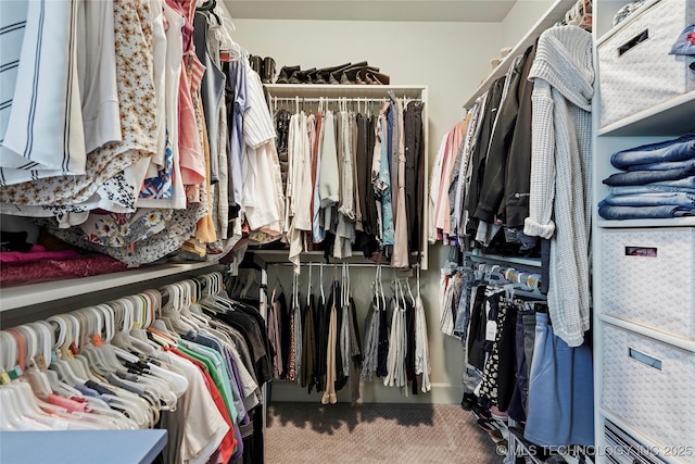 8617 E Hartford St, Broken Arrow, OK 74014 - walk in closet featuring carpet flooring