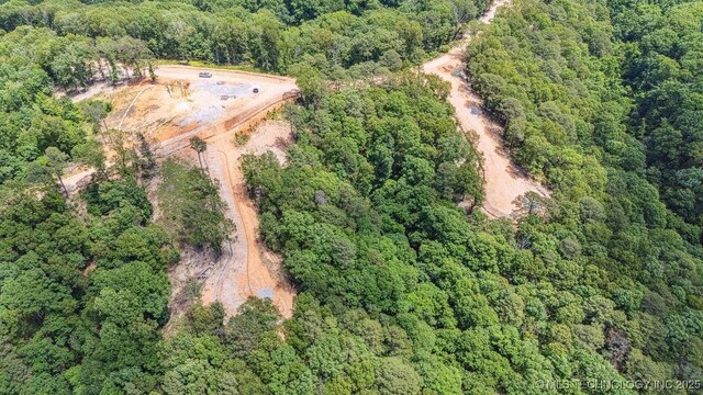 32 225th Rd, Wyandotte, OK 74370 - photo 3