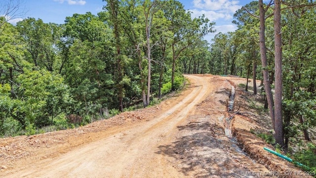 32 225th Rd, Wyandotte, OK 74370 - photo 10