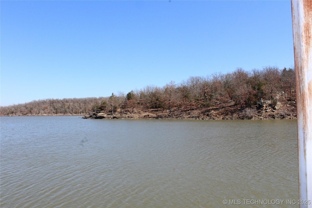 232 N Erie St, Eufaula, OK 74425 - water view