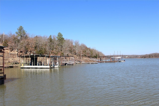 232 N Erie St, Eufaula, OK 74425 - dock area with a water view