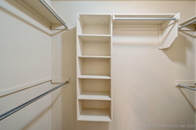 view of walk in closet