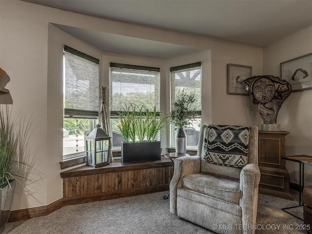 32188 E 738th Rd, Wagoner, OK 74467 - sitting room featuring plenty of natural light, carpet, and baseboards