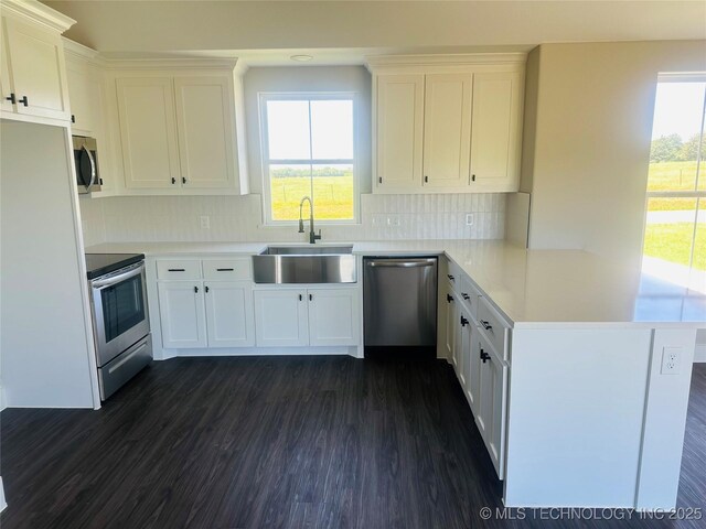 99 Treaty, Calera, OK 74730 - kitchen featuring stainless steel appliances, a sink, a peninsula, dark wood-style flooring, and white cabinets