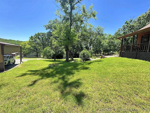 20413 E Allen Rd, Tahlequah, OK 74464 - view of green lawn