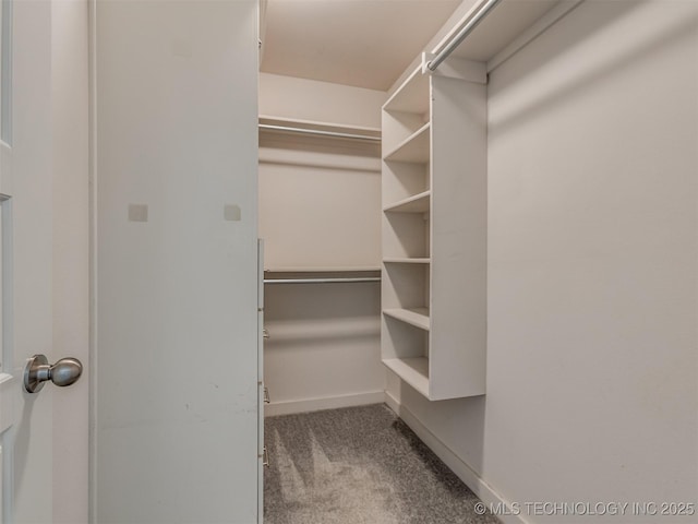 7221 S Indianwood Ave, Broken Arrow, OK 74011 - walk in closet with carpet