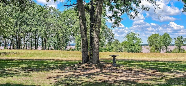 114276 S 4170th Rd, Checotah, OK 74426 - view of yard