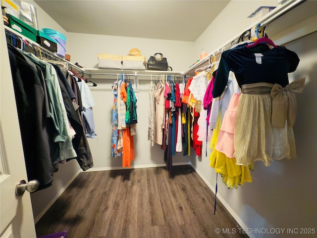 5752 E 147th St S, Bixby, OK 74008 - spacious closet with wood finished floors