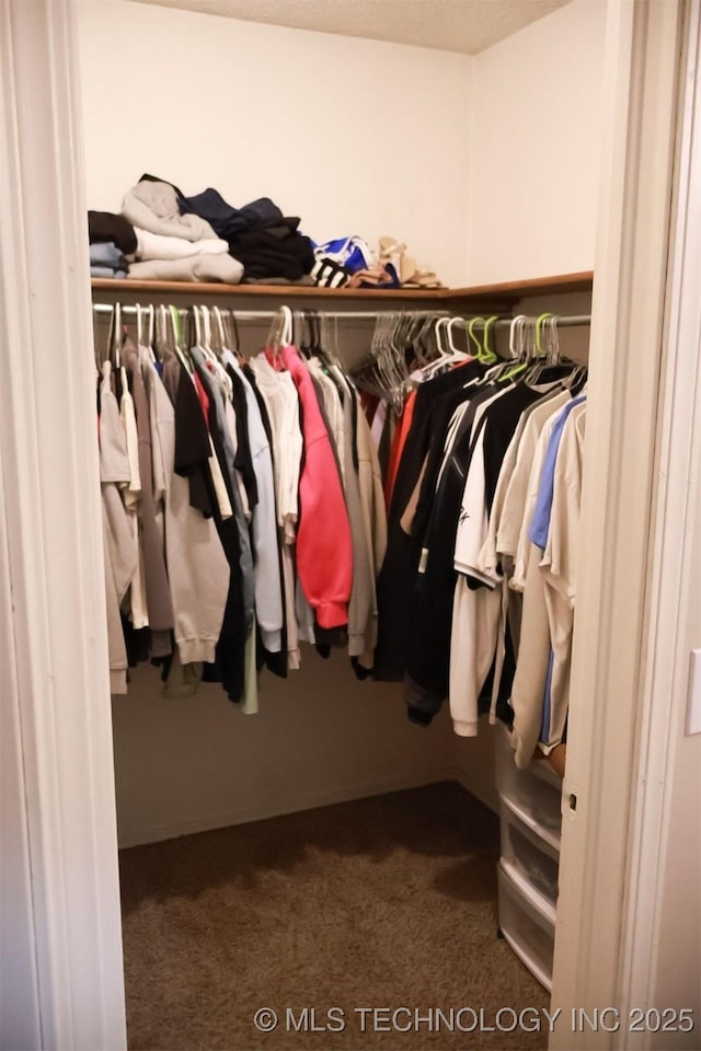 101 Honeysuckle Ln, Pryor, OK 74361 - walk in closet with dark carpet