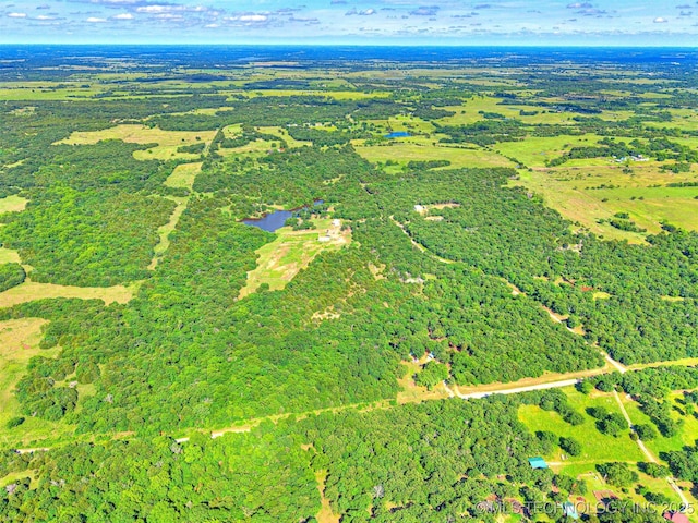 830294 S 3530, Stroud, OK 74079 - drone / aerial view of a forest and a nearby body of water