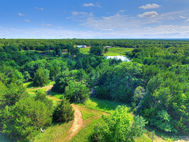 830294 S 3530, Stroud, OK 74079 - drone / aerial view of a large body of water and a forest