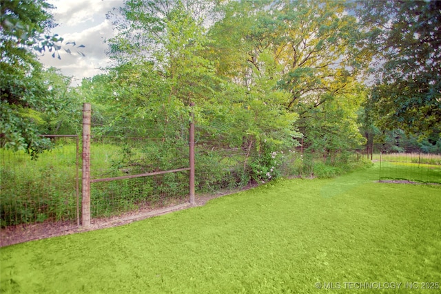 162 Dolittle Ln, Mcalester, OK 74501 - view of yard