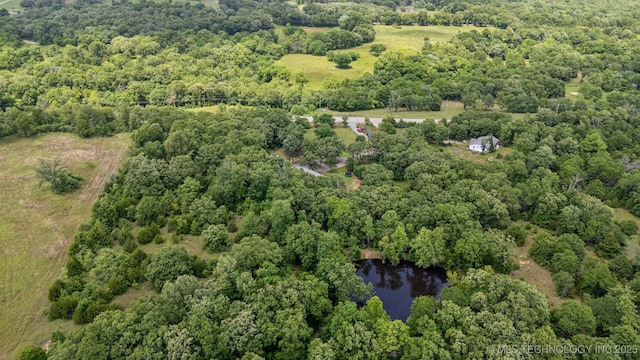 363270 E 5700th Rd, Jennings, OK 74038 - view of property location with a forest and a nearby body of water