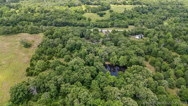 363270 E 5700th Rd, Jennings, OK 74038 - view of property location with a forest and a large body of water