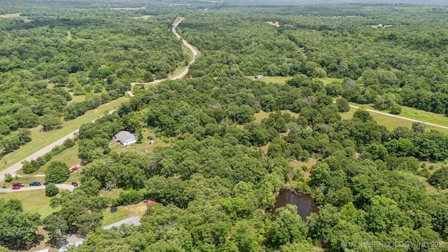 363270 E 5700th Rd, Jennings, OK 74038 - aerial view of a forest and a large body of water