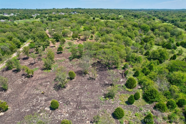 13247 Hobbs Creek Dr, Collinsville, OK 74021