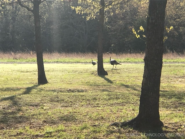 1808 N Woodland, Drumright, OK 74030 - view of grassy yard