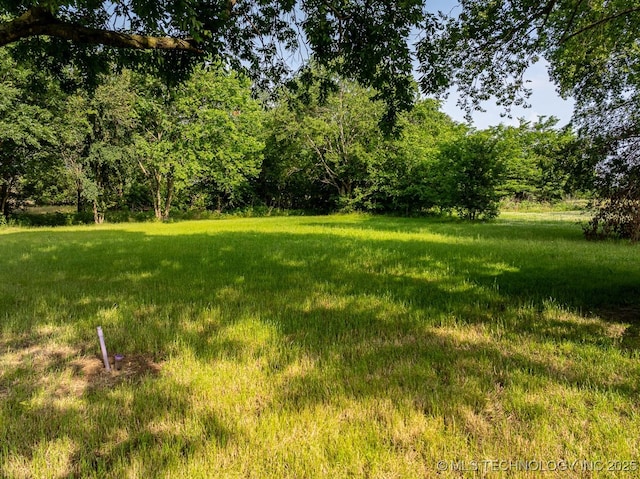 3923 Bryan Rd, Durant, OK 74701 - view of yard