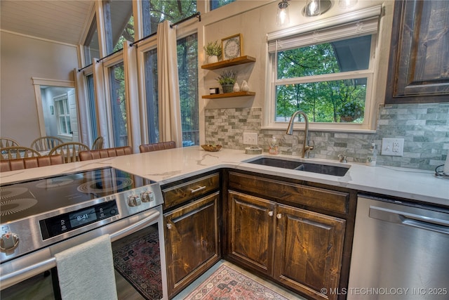 18341 W Woodhaven, Cookson, OK 74427 - kitchen with stainless steel appliances, a sink, tasteful backsplash, and dark brown cabinetry