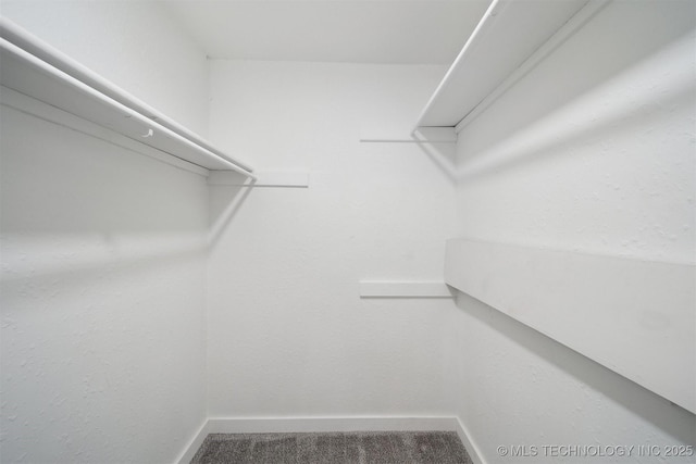 816 W Birmingham St, Broken Arrow, OK 74011 - walk in closet with carpet floors