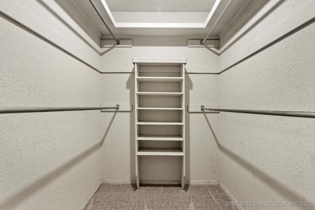 32112 E 721st Rd, Wagoner, OK 74467 - spacious closet featuring carpet flooring