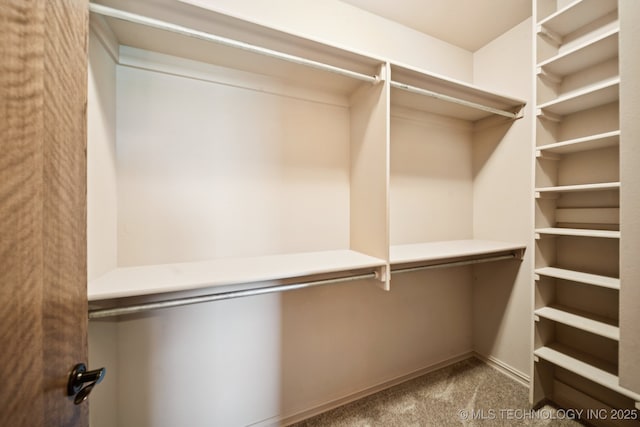21 E 171st St S, Glenpool, OK 74033 - walk in closet featuring carpet flooring