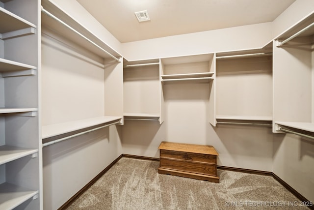 21 E 171st St S, Glenpool, OK 74033 - walk in closet featuring carpet floors