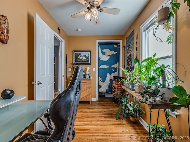3215 W 41st St, Tulsa, OK 74107 - office featuring light wood-type flooring, a ceiling fan, and baseboards