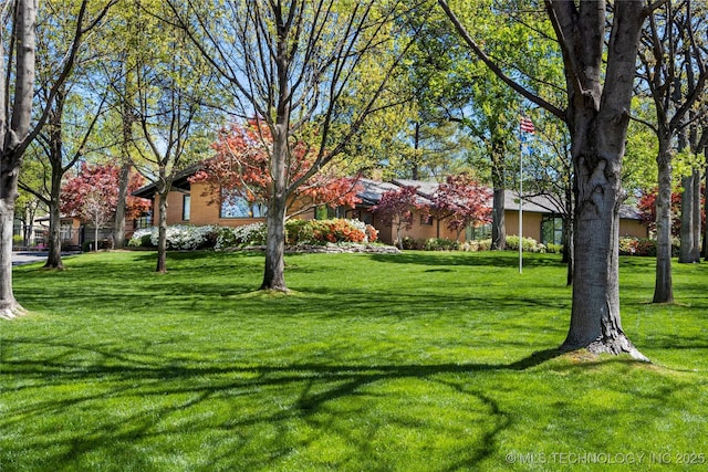 1919 E 30th Pl, Tulsa, OK 74114 - view of grassy yard