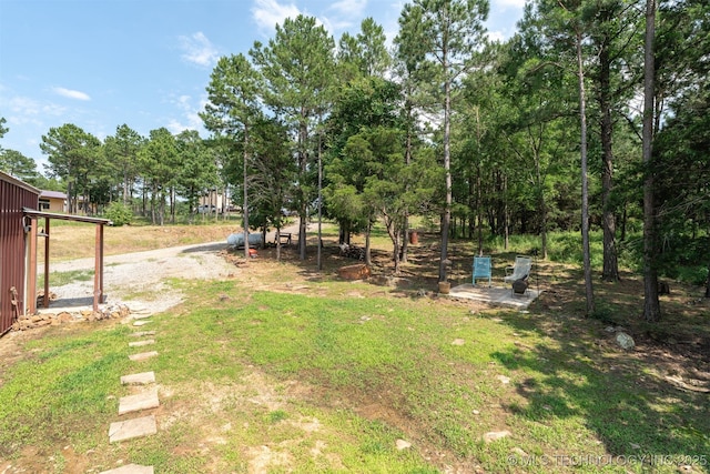 3819 129th Rd, Panola, OK 74559 - view of yard with view of scattered trees