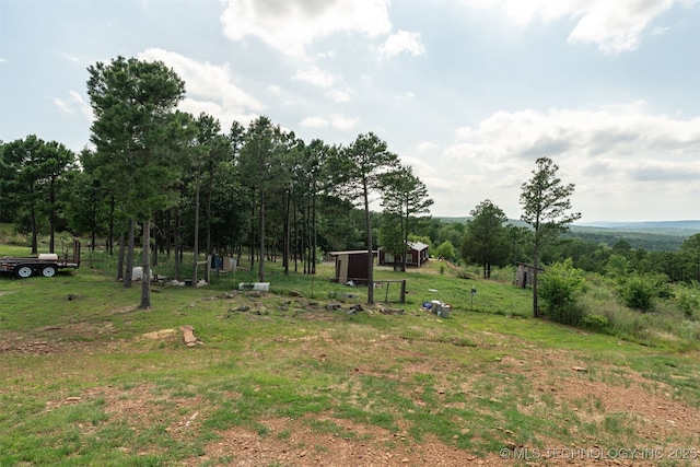 3819 129th Rd, Panola, OK 74559 - view of yard