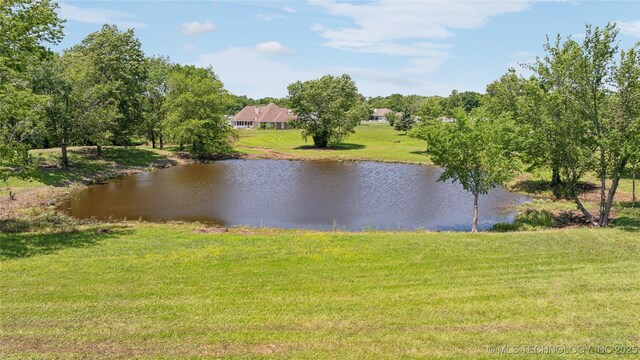 31102 S 4190th Rd, Inola, OK 74036 - water view