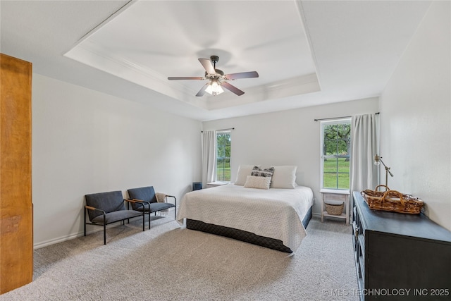 11587 W 86th St S, Sapulpa, OK 74066 - bedroom with a tray ceiling, multiple windows, and carpet flooring
