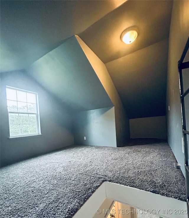 11587 W 86th St S, Sapulpa, OK 74066 - bonus room with lofted ceiling and carpet floors