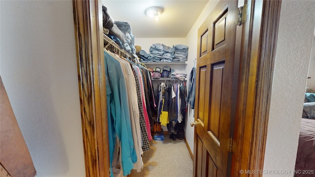 10815 State Highway 19, Ada, OK 74820 - walk in closet with light carpet