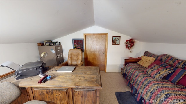 10815 State Highway 19, Ada, OK 74820 - bedroom with carpet flooring and vaulted ceiling