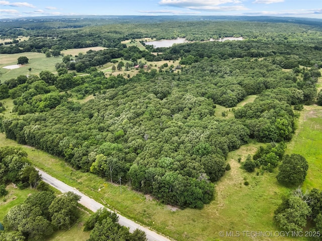 0000 County Road 1590, Stonewall, OK 74871 - photo 6